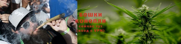 гидра Наволоки