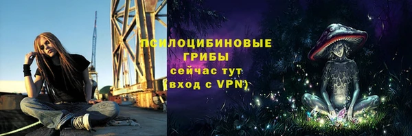 герыч Надым